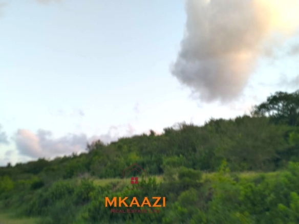 37 acres freehold cliffside road frontage land for sale at Marafa Bridge overlooking seasonal river and Marafa town ideal for agriculture, hospitality, and investment development.