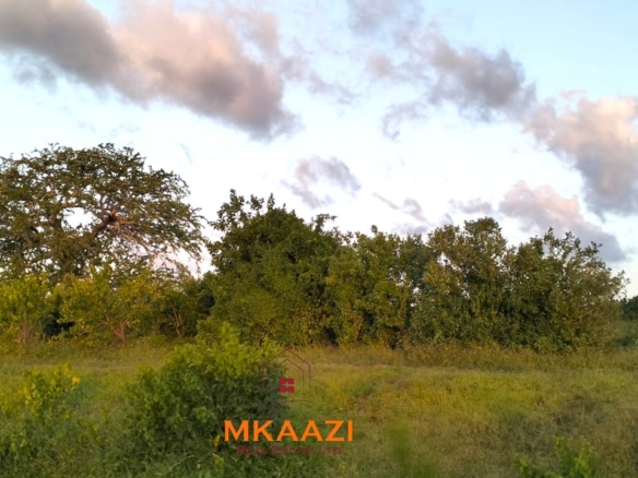 37 acres freehold cliffside road frontage land for sale at Marafa Bridge overlooking seasonal river and Marafa town ideal for agriculture, hospitality, and investment development.