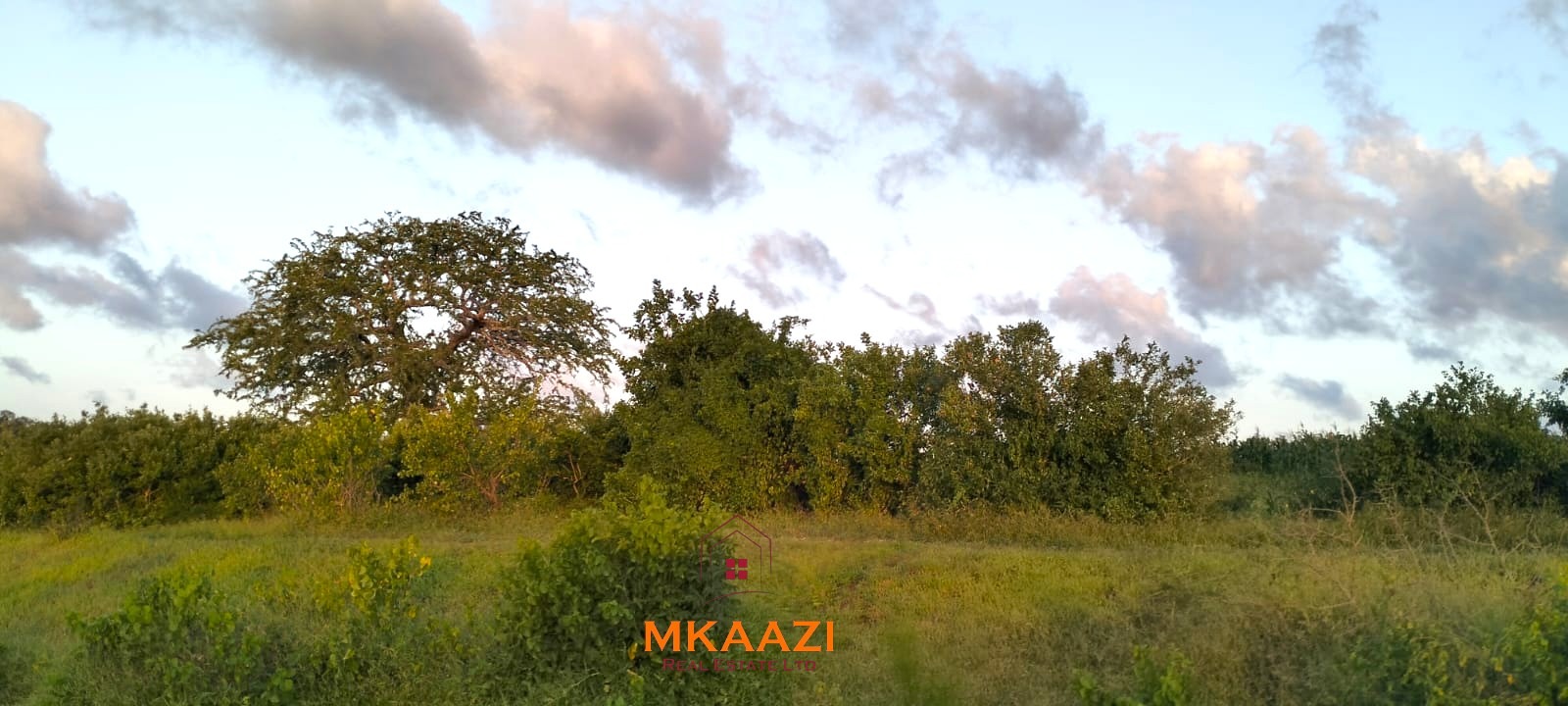 37 acres freehold cliffside road frontage land for sale at Marafa Bridge overlooking seasonal river and Marafa town ideal for agriculture, hospitality, and investment development.