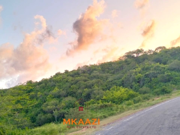 37 acres freehold cliffside road frontage land for sale at Marafa Bridge overlooking seasonal river and Marafa town ideal for agriculture, hospitality, and investment development.
