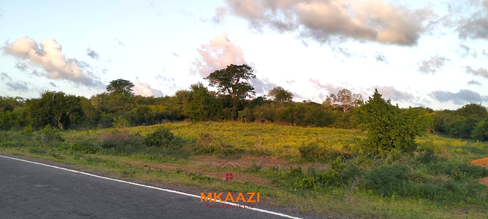 37 acres freehold cliffside road frontage land for sale at Marafa Bridge overlooking seasonal river and Marafa town ideal for agriculture, hospitality, and investment development.