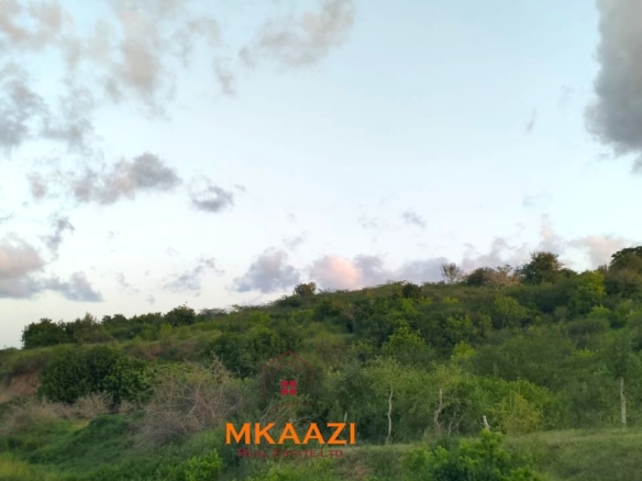 37 acres freehold cliffside road frontage land for sale at Marafa Bridge overlooking seasonal river and Marafa town ideal for agriculture, hospitality, and investment development.