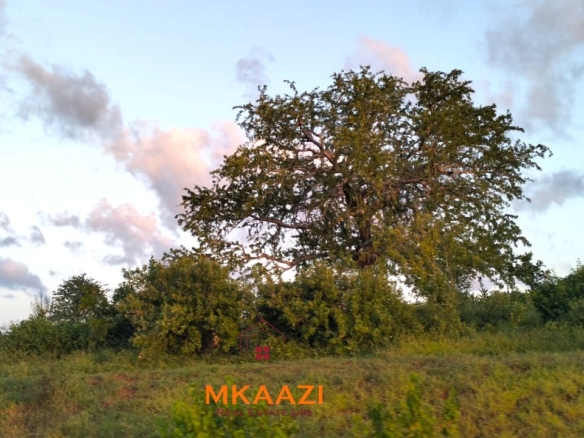 37 acres freehold cliffside road frontage land for sale at Marafa Bridge overlooking seasonal river and Marafa town ideal for agriculture, hospitality, and investment development.