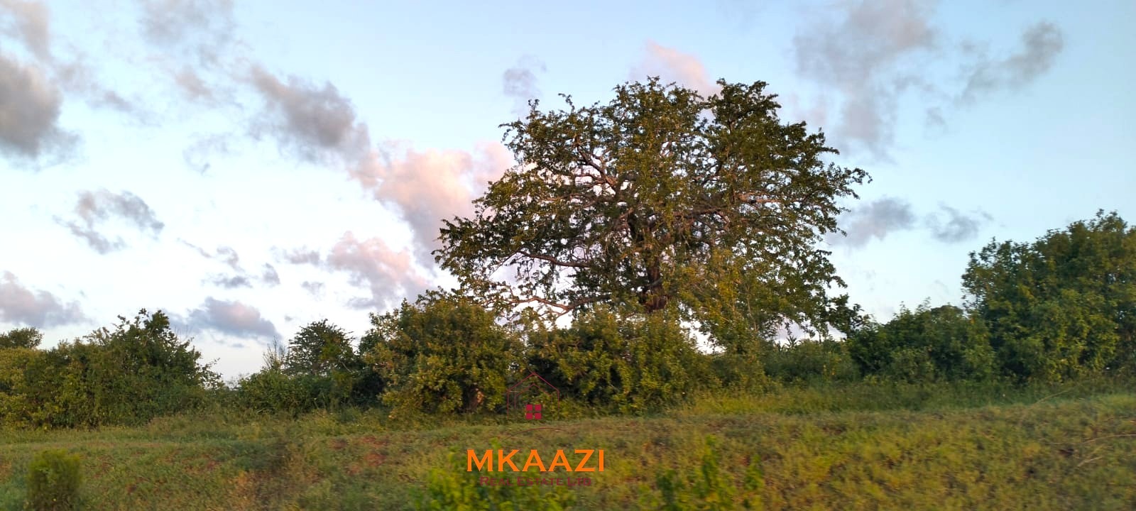 37 acres freehold cliffside road frontage land for sale at Marafa Bridge overlooking seasonal river and Marafa town ideal for agriculture, hospitality, and investment development.