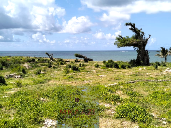 Quarter-acre beachfront plots for sale in Mayungu with ready title deeds, ocean views, accessible roads, and luxury investment potential.