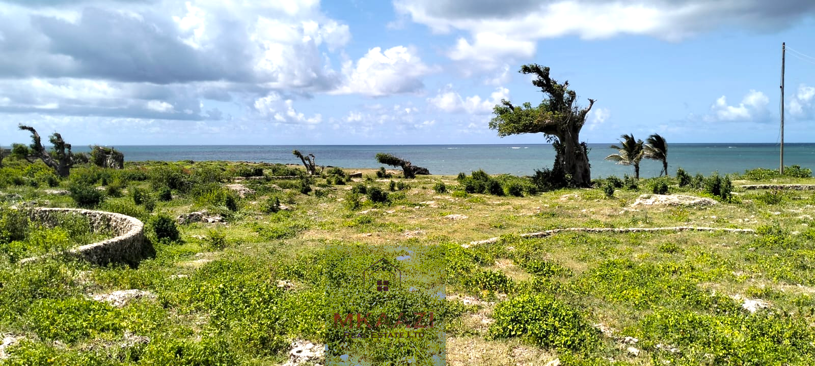 Quarter-acre beachfront plots for sale in Mayungu with ready title deeds, ocean views, accessible roads, and luxury investment potential.