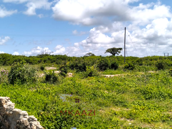 Quarter-acre beachfront plots for sale in Mayungu with ready title deeds, ocean views, accessible roads, and luxury investment potential.