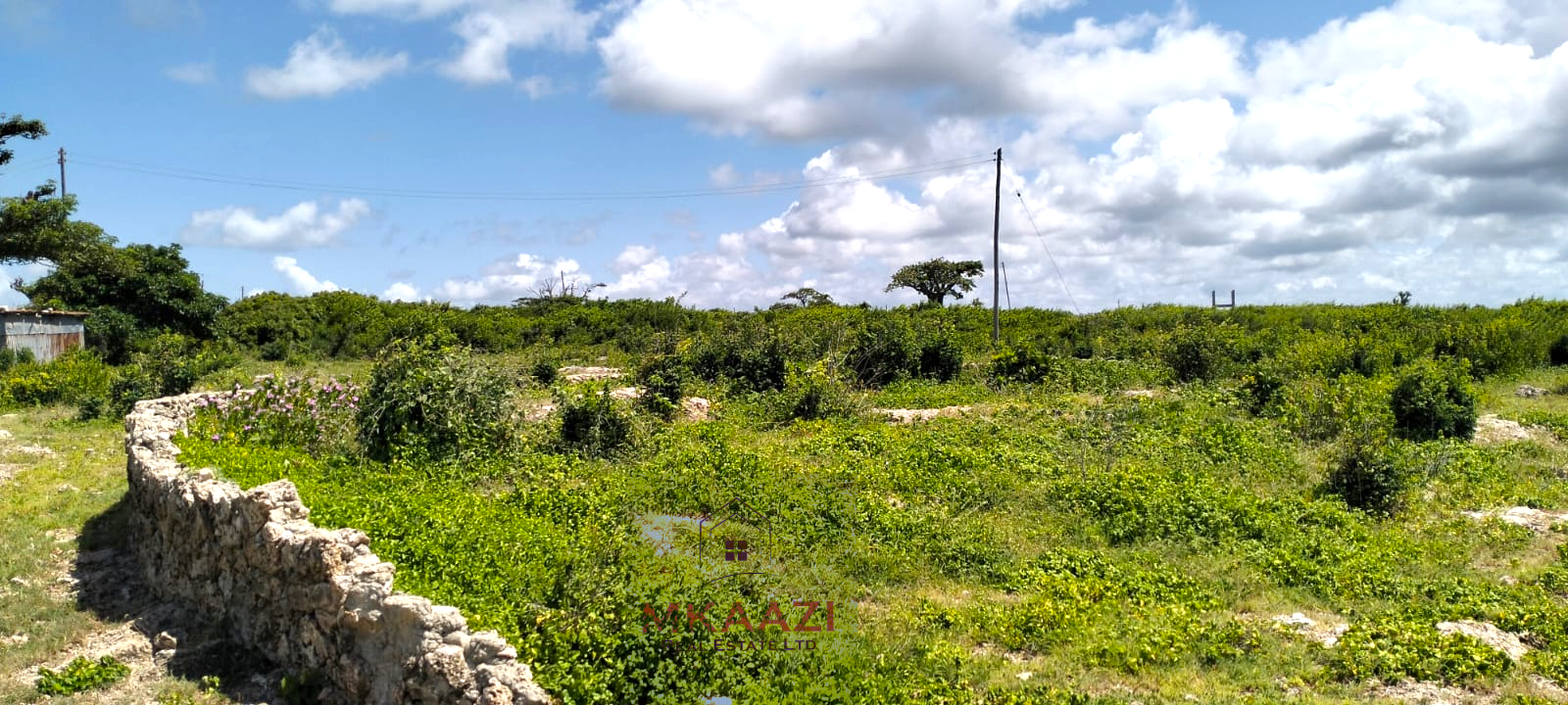 Quarter-acre beachfront plots for sale in Mayungu with ready title deeds, ocean views, accessible roads, and luxury investment potential.