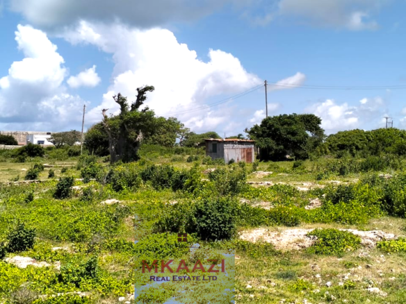 Quarter-acre beachfront plots for sale in Mayungu with ready title deeds, ocean views, accessible roads, and luxury investment potential.