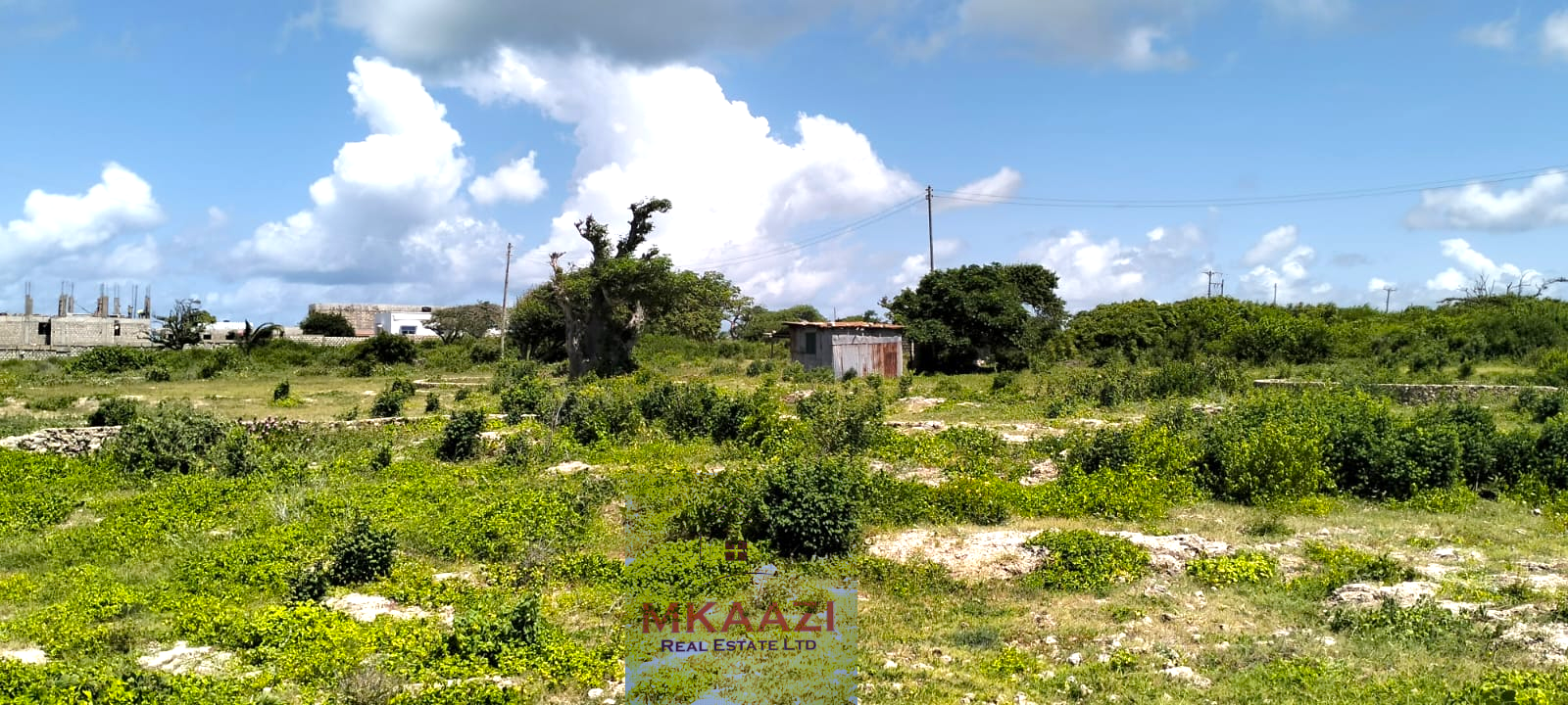 Quarter-acre beachfront plots for sale in Mayungu with ready title deeds, ocean views, accessible roads, and luxury investment potential.