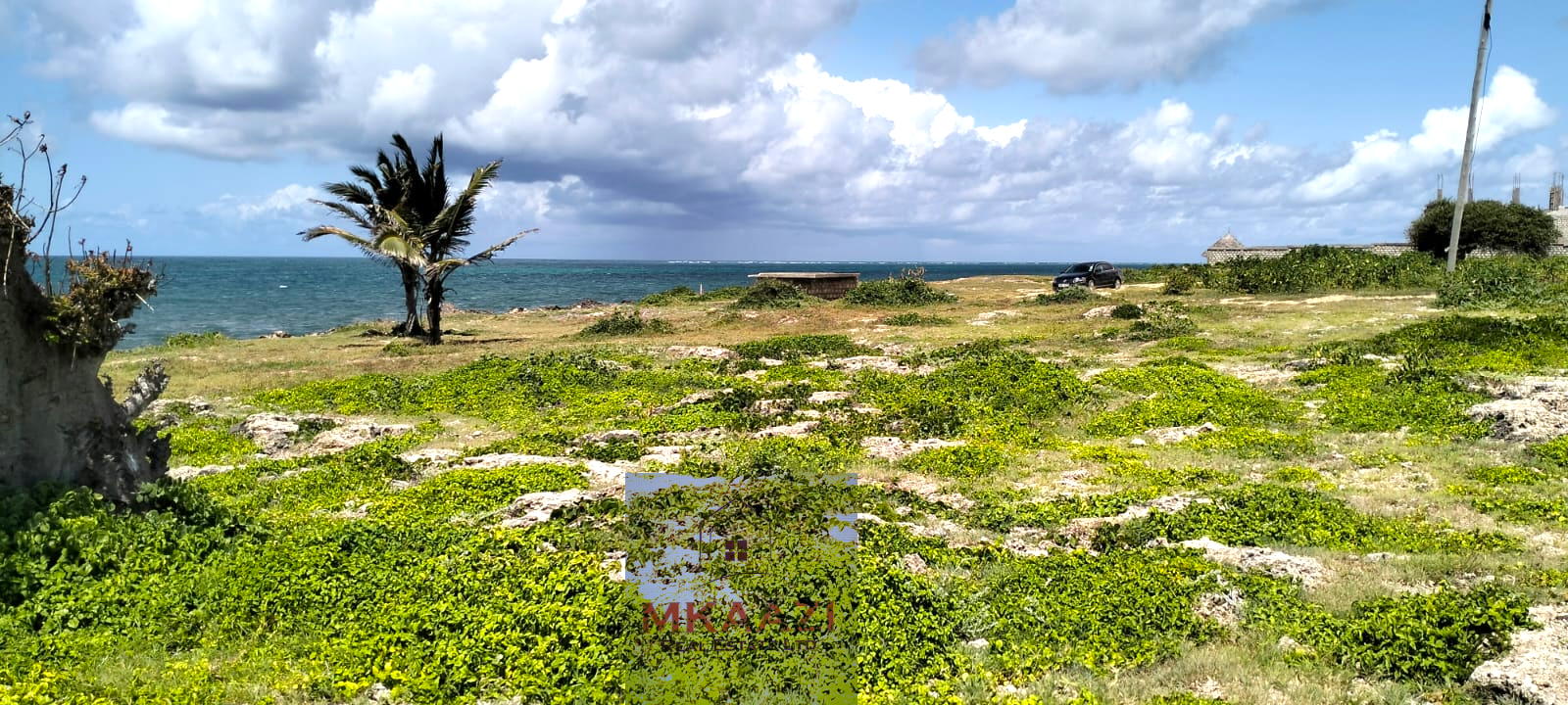 Quarter-acre beachfront plots for sale in Mayungu with ready title deeds, ocean views, accessible roads, and luxury investment potential.