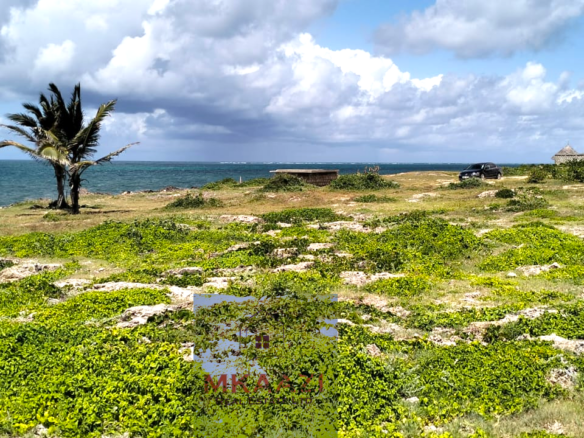 Quarter-acre beachfront plots for sale in Mayungu with ready title deeds, ocean views, accessible roads, and luxury investment potential.