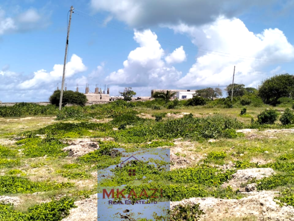 Quarter-acre beachfront plots for sale in Mayungu with ready title deeds, ocean views, accessible roads, and luxury investment potential.
