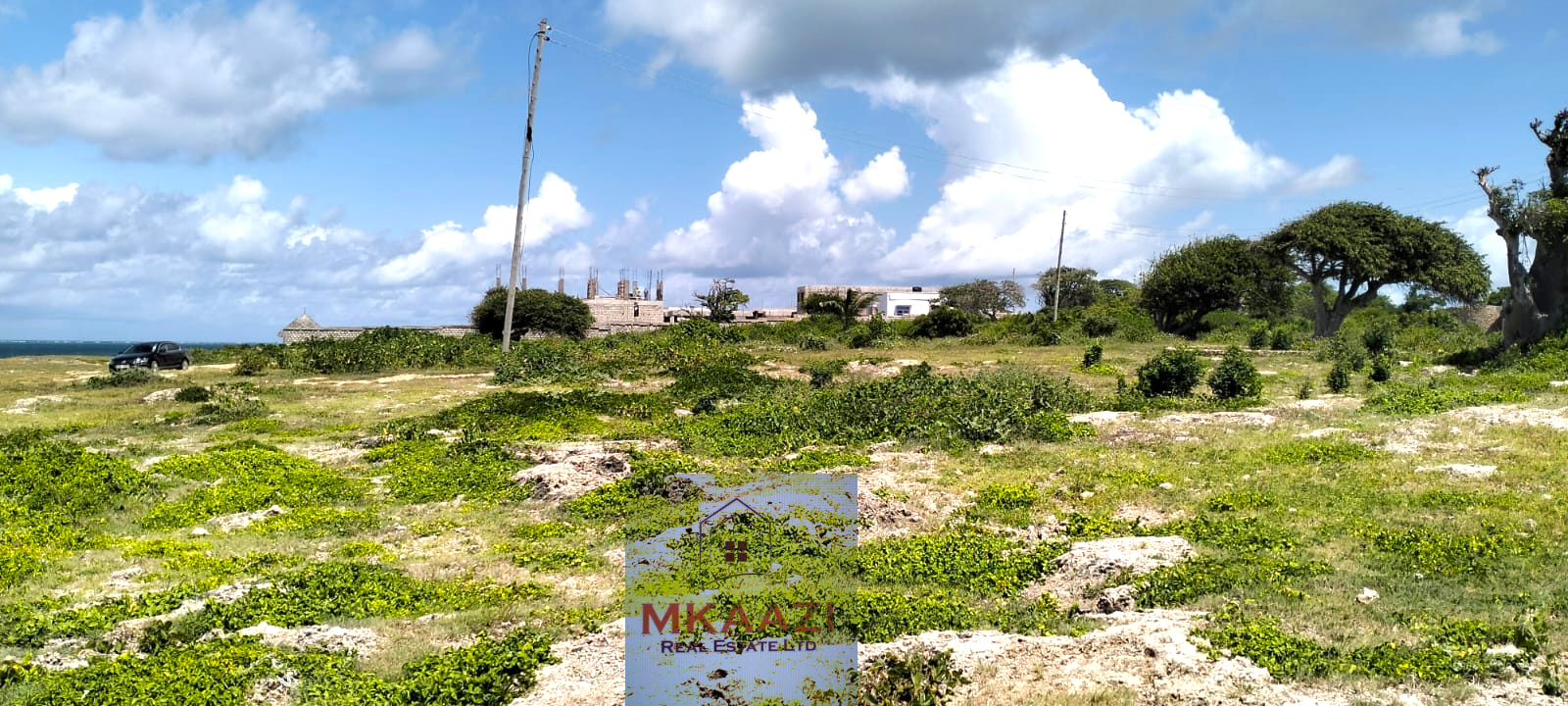 Quarter-acre beachfront plots for sale in Mayungu with ready title deeds, ocean views, accessible roads, and luxury investment potential.