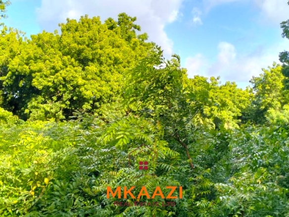 Prime ⅛-acre plots for sale in Casuarina, Malindi, within a secure gated community featuring cabro roads, water and electricity on-site, and excellent residential development potential.