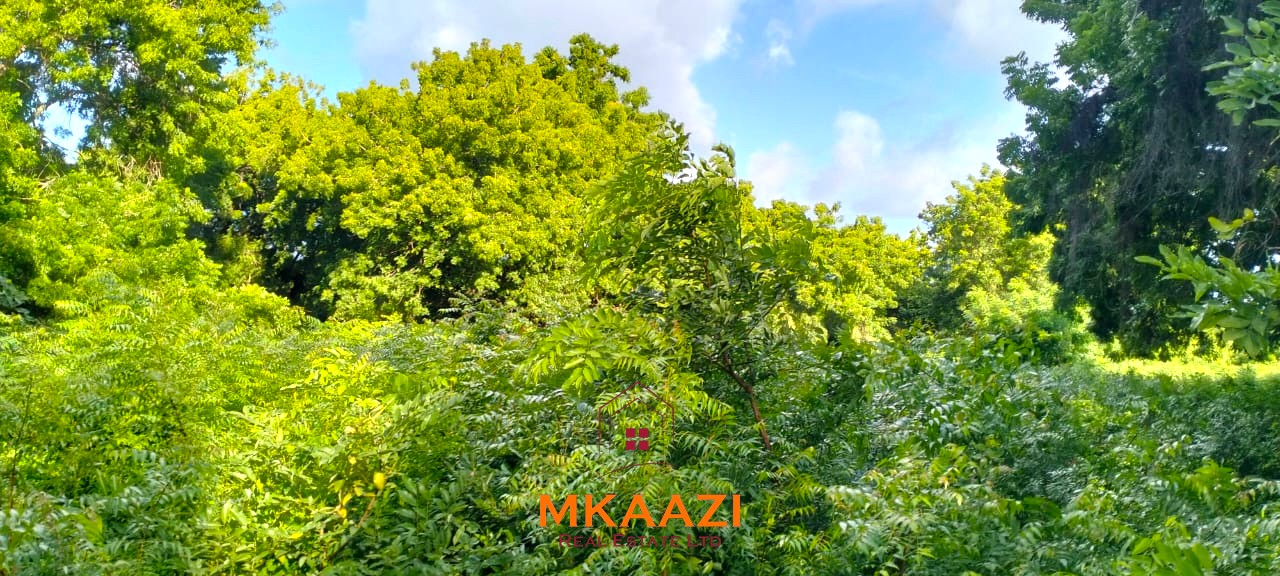 Prime ⅛-acre plots for sale in Casuarina, Malindi, within a secure gated community featuring cabro roads, water and electricity on-site, and excellent residential development potential.