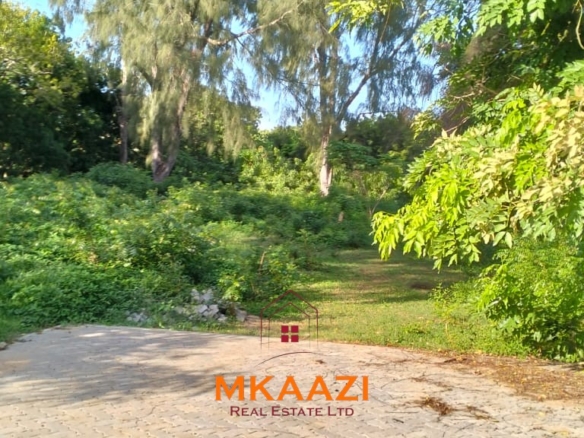 Prime ⅛-acre plots for sale in Casuarina, Malindi, within a secure gated community featuring cabro roads, water and electricity on-site, and excellent residential development potential.