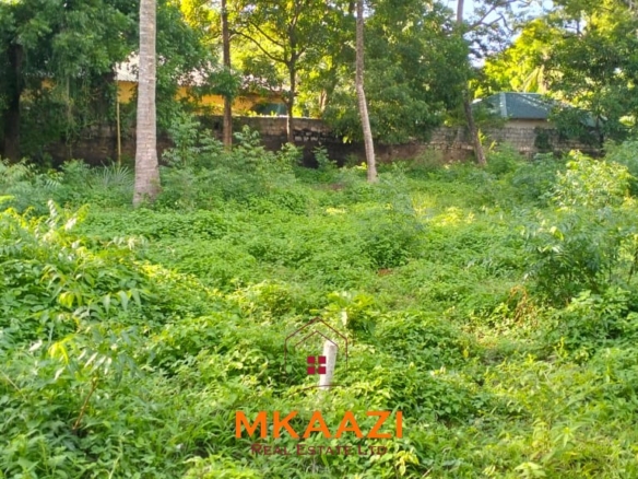 Prime ⅛-acre plots for sale in Casuarina, Malindi, within a secure gated community featuring cabro roads, water and electricity on-site, and excellent residential development potential.