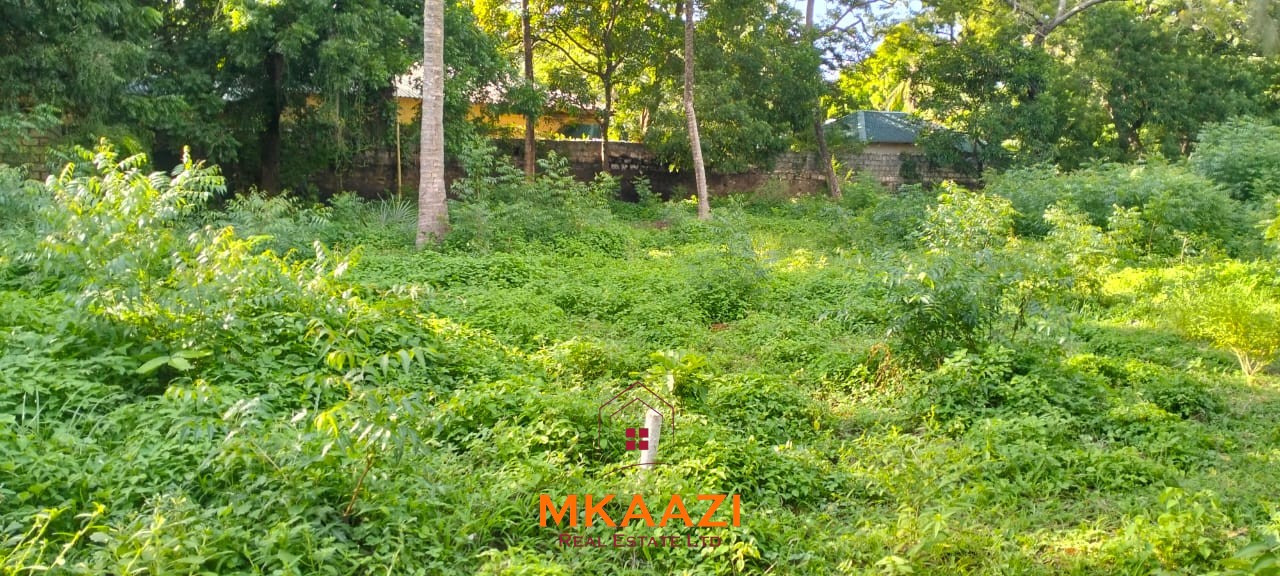 Prime ⅛-acre plots for sale in Casuarina, Malindi, within a secure gated community featuring cabro roads, water and electricity on-site, and excellent residential development potential.