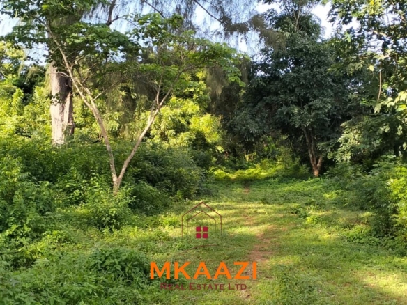 Prime ⅛-acre plots for sale in Casuarina, Malindi, within a secure gated community featuring cabro roads, water and electricity on-site, and excellent residential development potential.