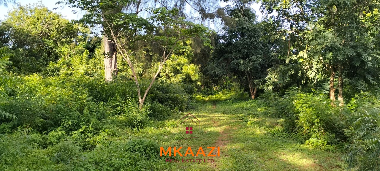 Prime ⅛-acre plots for sale in Casuarina, Malindi, within a secure gated community featuring cabro roads, water and electricity on-site, and excellent residential development potential.