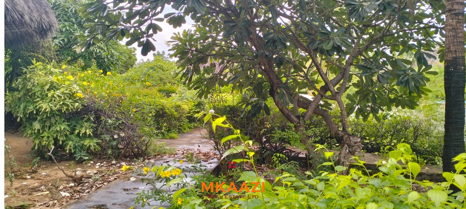 Luxury 4-bedroom house for sale in Mayungu, located in a secure gated community on the second row from the beach, featuring a shared swimming pool, landscaped garden, and serene coastal surroundings.