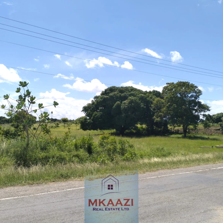 25-acre freehold road frontage land for sale in Kakuyuni Malindi with power and water on site, ideal for residential, commercial, agricultural, or mixed-use development.