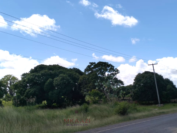 Prime 3-acre roadfront land for sale in Kakuyuni with freehold title, water and electricity on site. Fertile investment property ideal for farming, residential or commercial development.