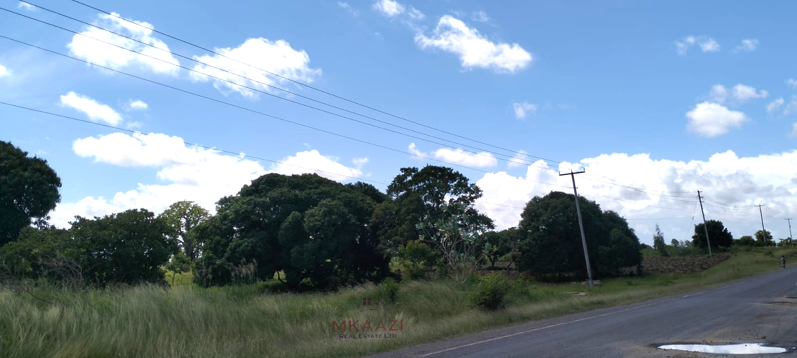 Prime 3-acre roadfront land for sale in Kakuyuni with freehold title, water and electricity on site. Fertile investment property ideal for farming, residential or commercial development.