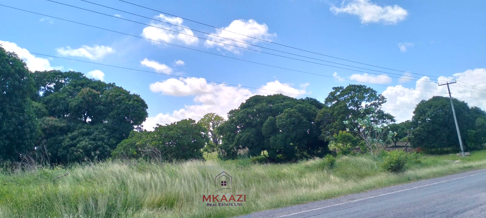 Prime 3-acre roadfront land for sale in Kakuyuni with freehold title, water and electricity on site. Fertile investment property ideal for farming, residential or commercial development.