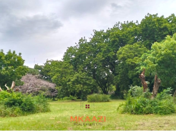 Quarter-acre plot for sale next to Mwembe Resort Malindi with ready title deed, perimeter wall, water and electricity on site.