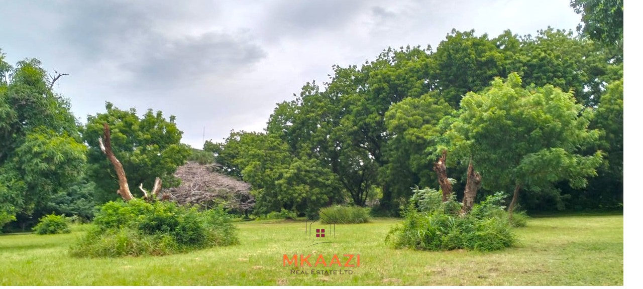 Quarter-acre plot for sale next to Mwembe Resort Malindi with ready title deed, perimeter wall, water and electricity on site.