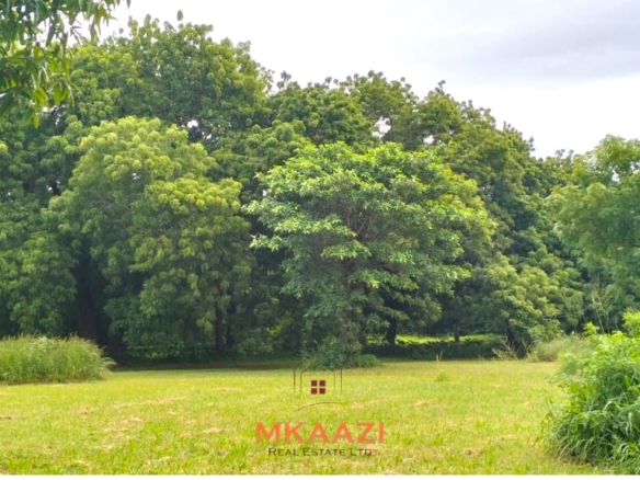 Quarter-acre plot for sale next to Mwembe Resort Malindi with ready title deed, perimeter wall, water and electricity on site.