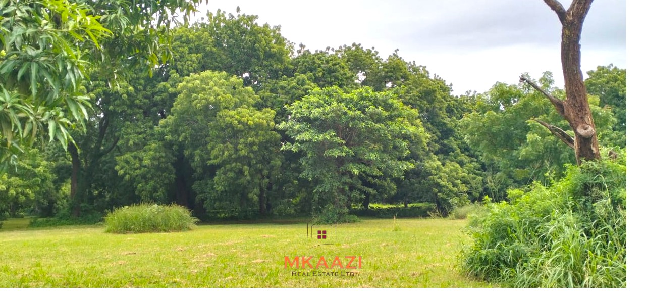Quarter-acre plot for sale next to Mwembe Resort Malindi with ready title deed, perimeter wall, water and electricity on site.