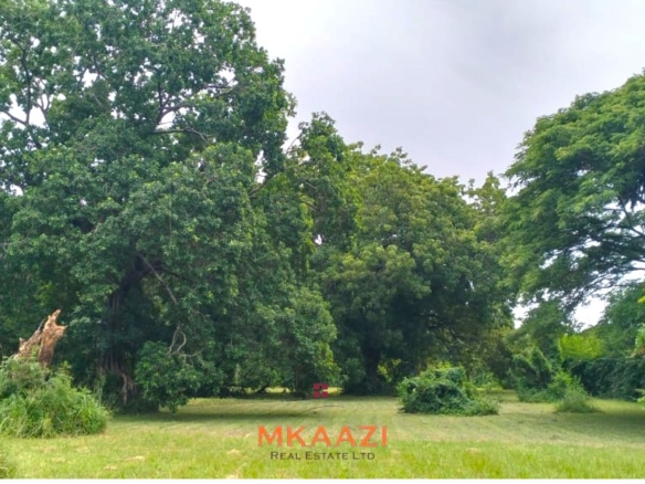Quarter-acre plot for sale next to Mwembe Resort Malindi with ready title deed, perimeter wall, water and electricity on site.