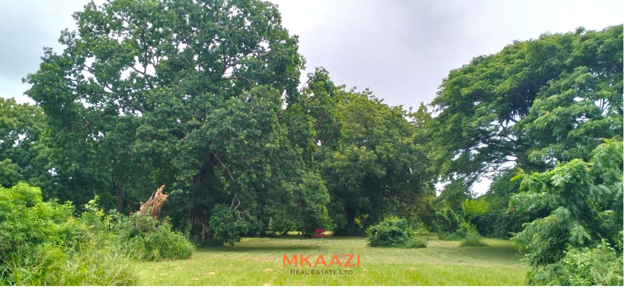 Quarter-acre plot for sale next to Mwembe Resort Malindi with ready title deed, perimeter wall, water and electricity on site.