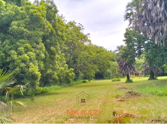 Quarter-acre plot for sale next to Mwembe Resort Malindi with ready title deed, perimeter wall, water and electricity on site.