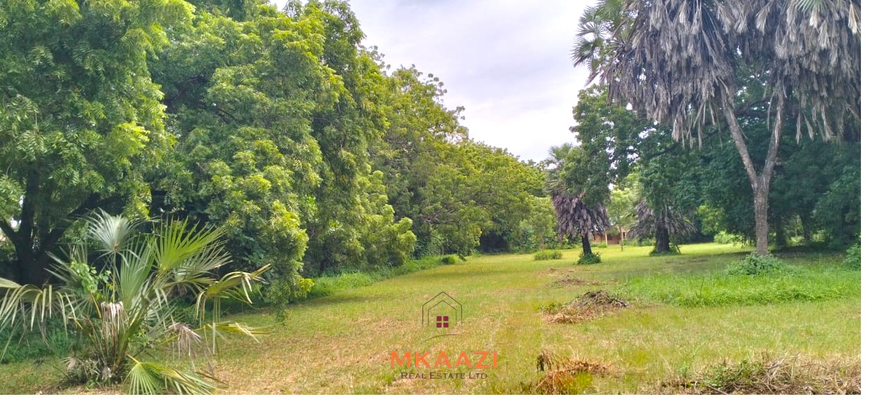 Quarter-acre plot for sale next to Mwembe Resort Malindi with ready title deed, perimeter wall, water and electricity on site.