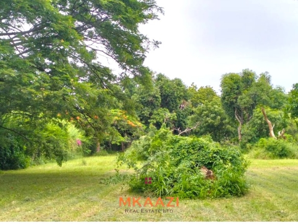 Quarter-acre plot for sale next to Mwembe Resort Malindi with ready title deed, perimeter wall, water and electricity on site.