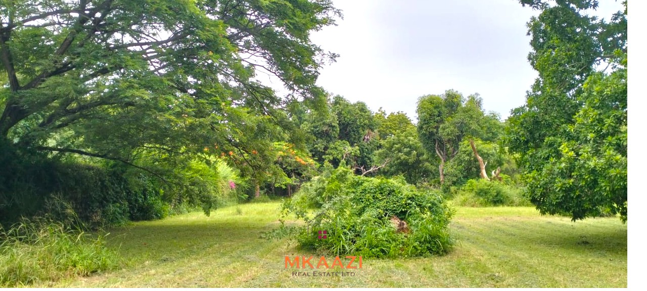 Quarter-acre plot for sale next to Mwembe Resort Malindi with ready title deed, perimeter wall, water and electricity on site.