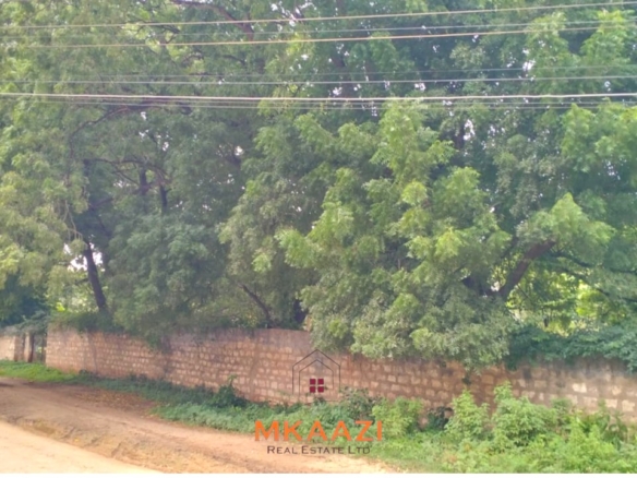 Quarter-acre plot for sale next to Mwembe Resort Malindi with ready title deed, perimeter wall, water and electricity on site.
