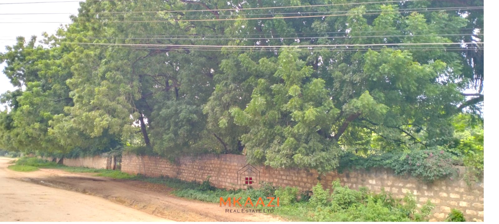 Quarter-acre plot for sale next to Mwembe Resort Malindi with ready title deed, perimeter wall, water and electricity on site.