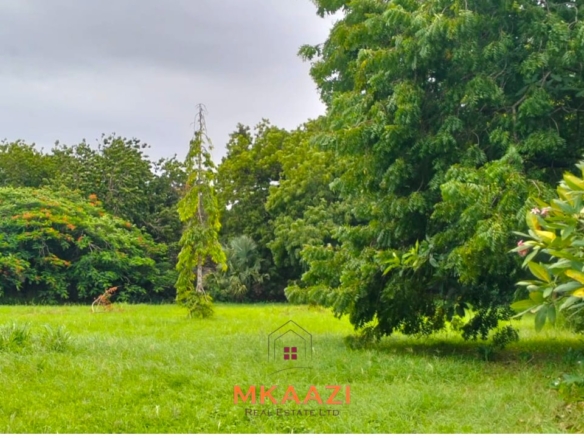 Quarter-acre plot for sale next to Mwembe Resort Malindi with ready title deed, perimeter wall, water and electricity on site.
