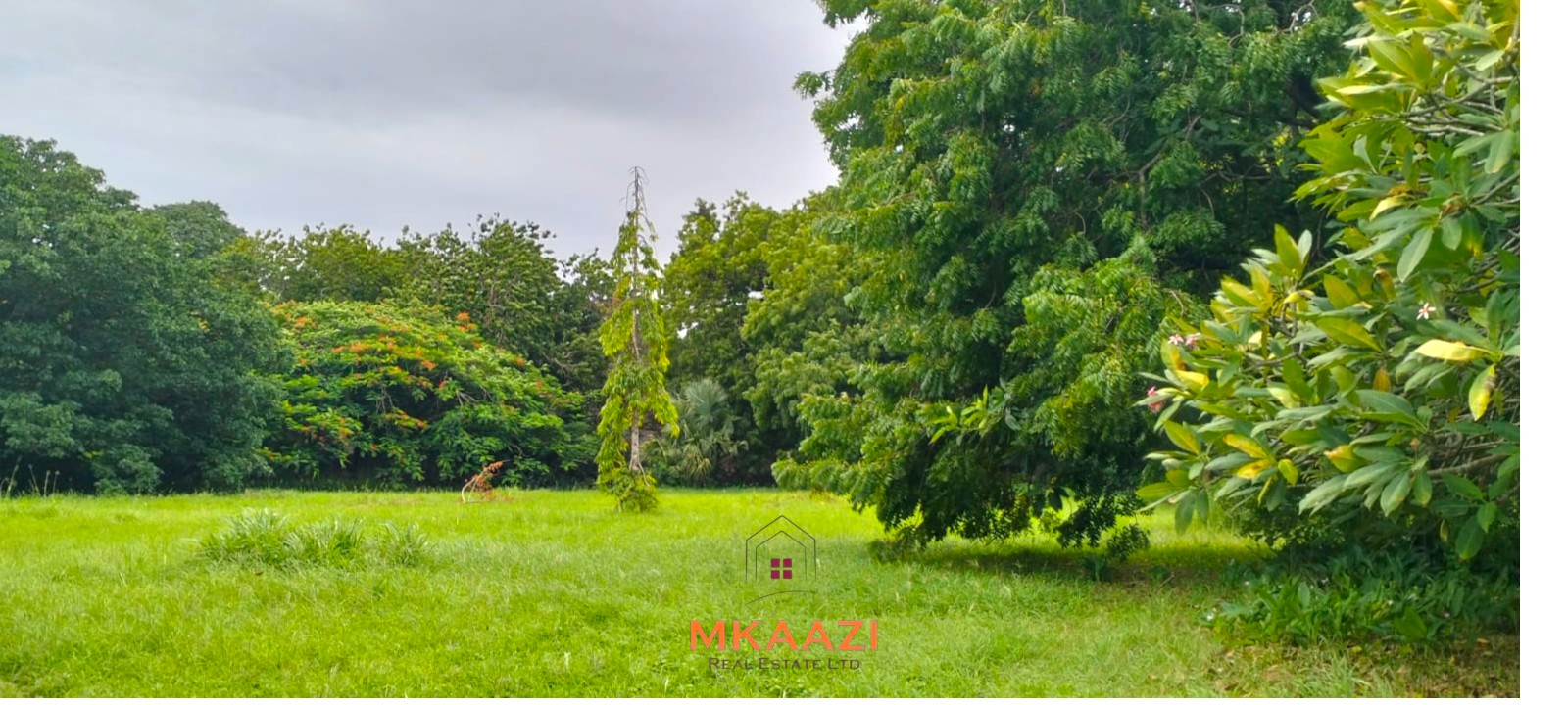 Quarter-acre plot for sale next to Mwembe Resort Malindi with ready title deed, perimeter wall, water and electricity on site.
