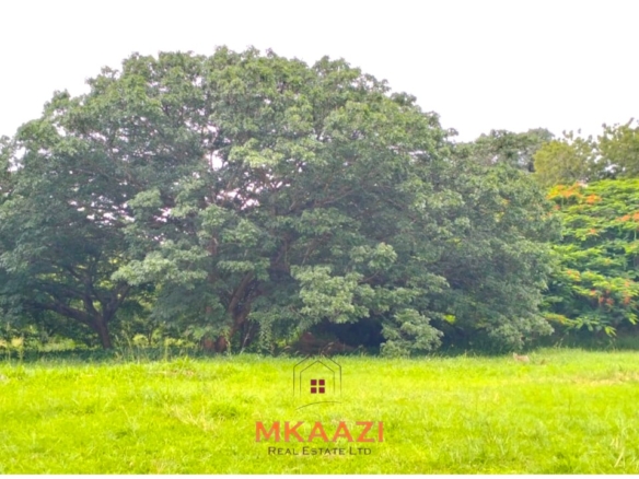 Quarter-acre plot for sale next to Mwembe Resort Malindi with ready title deed, perimeter wall, water and electricity on site.