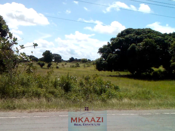 25-acre freehold road frontage land for sale in Kakuyuni Malindi with power and water on site, ideal for residential, commercial, agricultural, or mixed-use development.