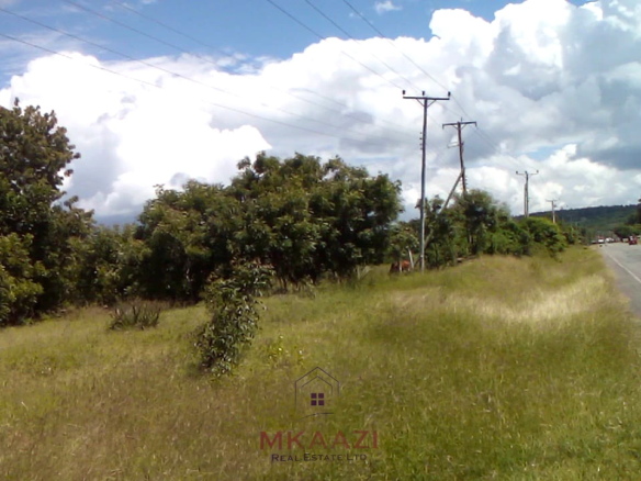 25-acre freehold road frontage land for sale in Kakuyuni Malindi with power and water on site, ideal for residential, commercial, agricultural, or mixed-use development.