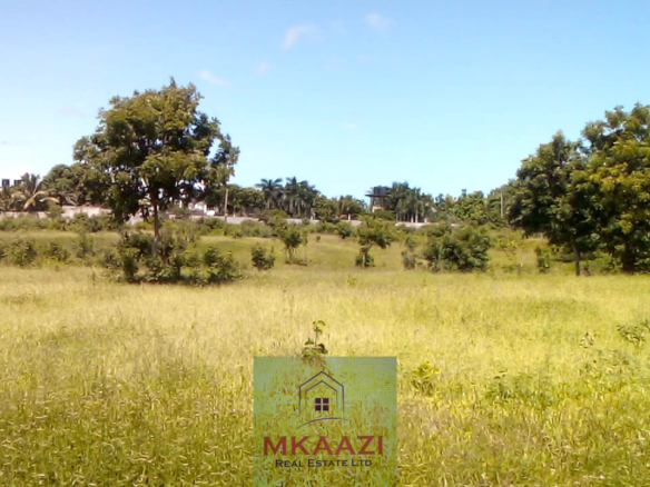 25-acre freehold road frontage land for sale in Kakuyuni Malindi with power and water on site, ideal for residential, commercial, agricultural, or mixed-use development.