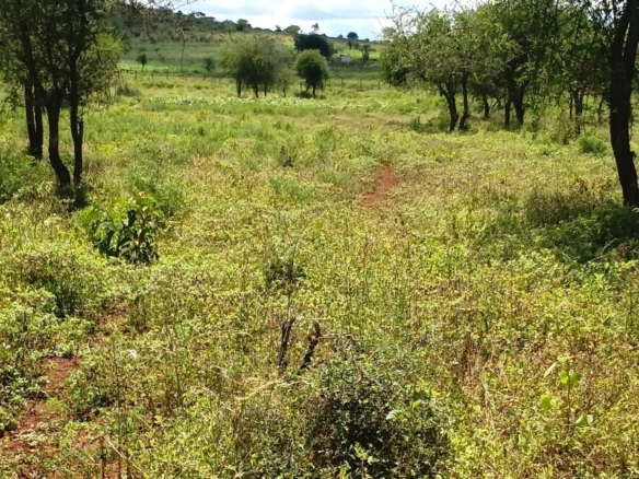 100 Acre Ranch for sale in Kajiado County SImba Town