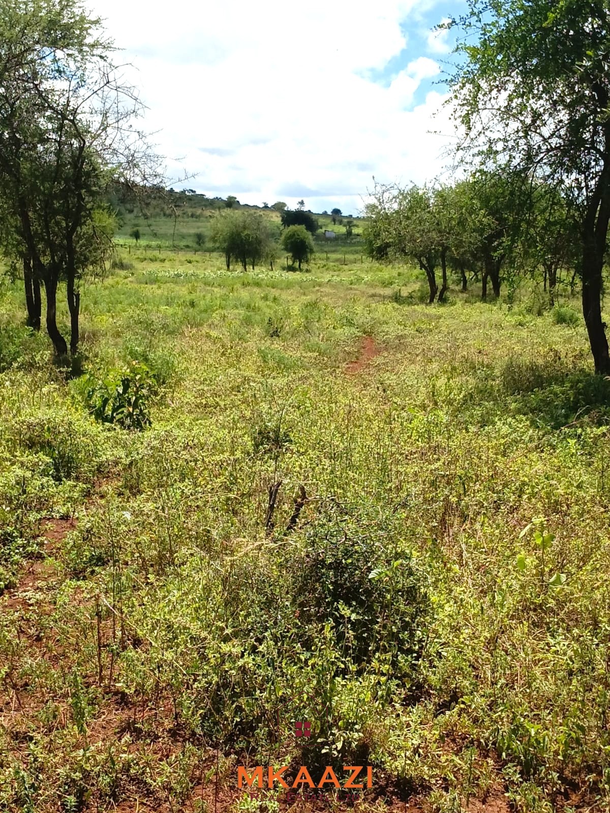 100 Acre Ranch for sale in Kajiado County SImba Town